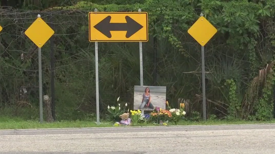 Bill would crack down on hit-and-run crashes